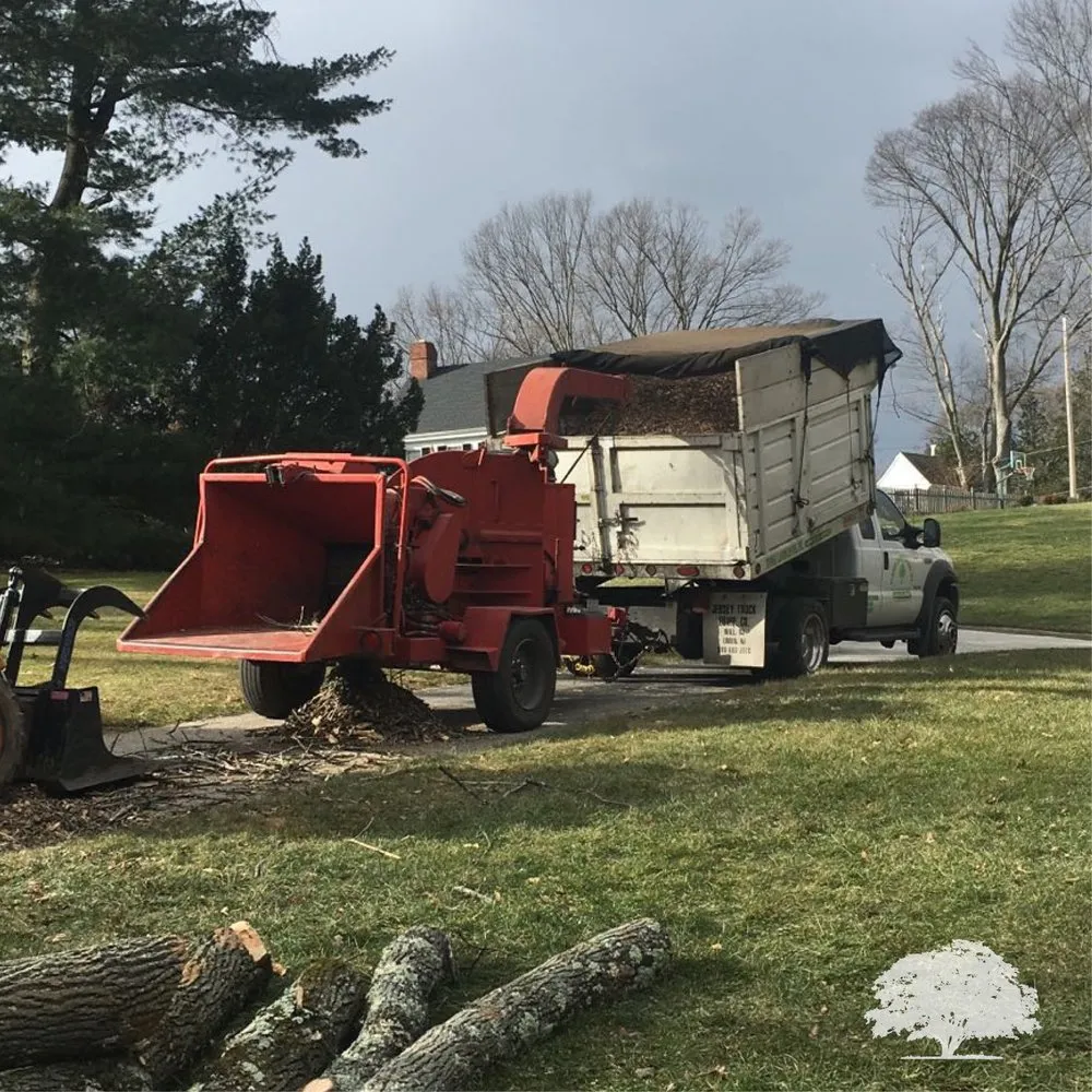 Expert outdoor landscaping in Norristown, PA by Zuniga Landscaping