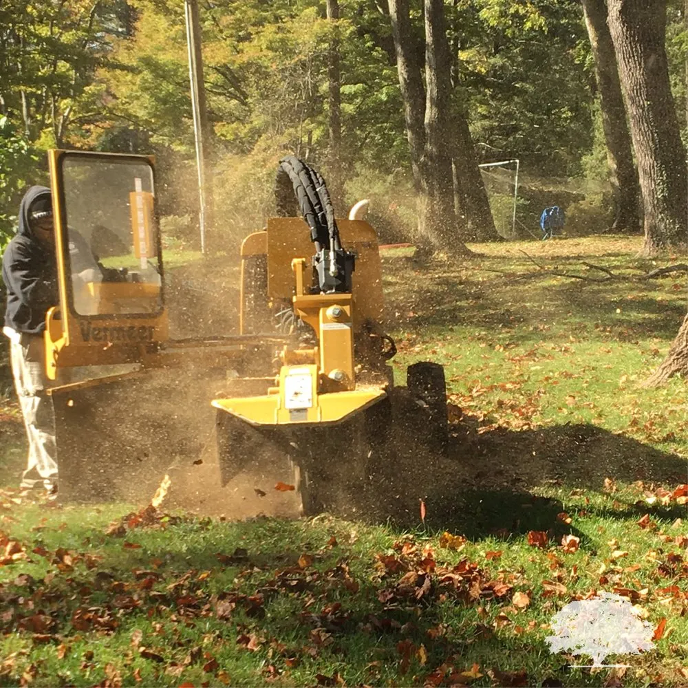 Trusted yard maintenance for beautiful yards in Norristown, PA by Zuniga Landscaping
