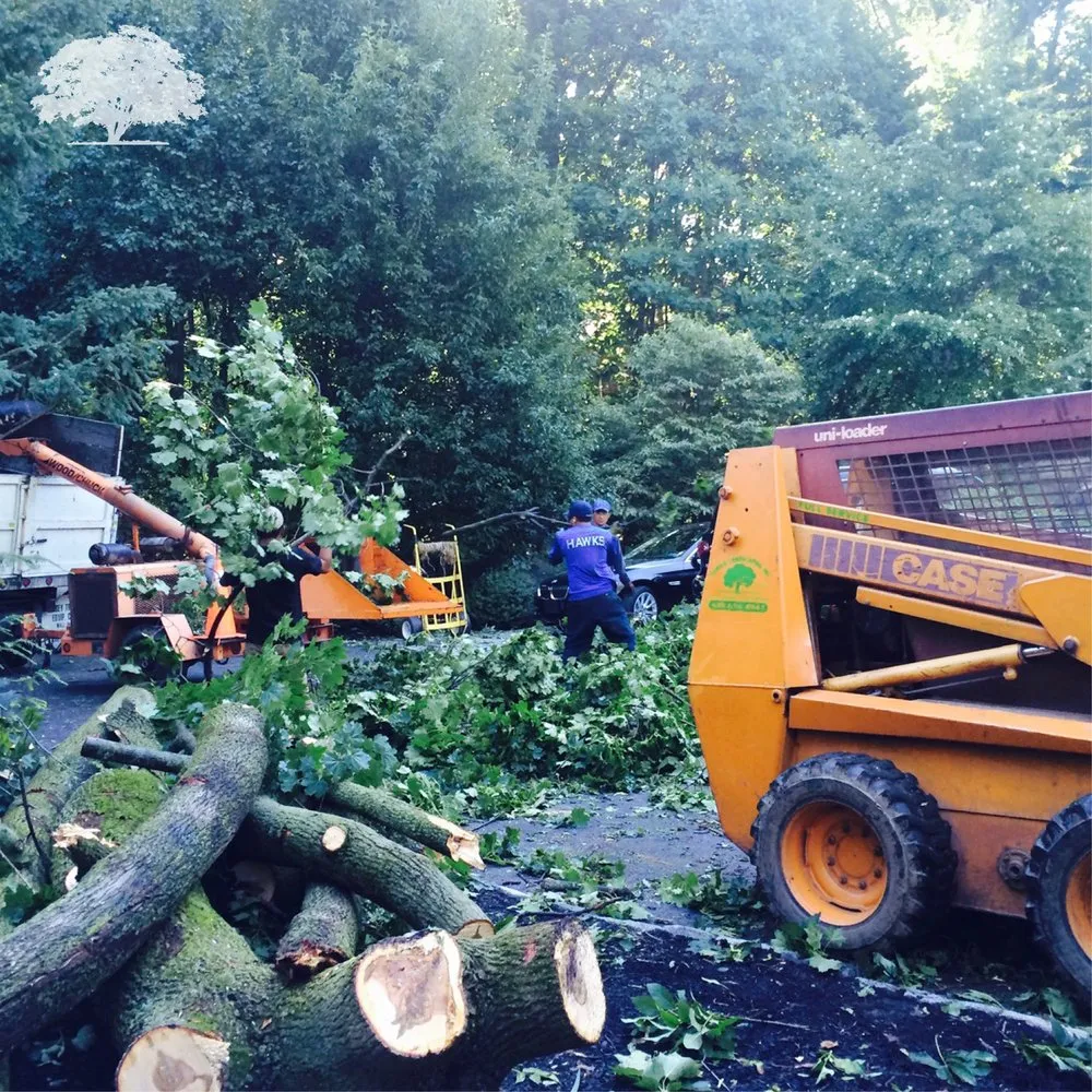 Local yard maintenance in Norristown, PA - Zuniga Landscaping