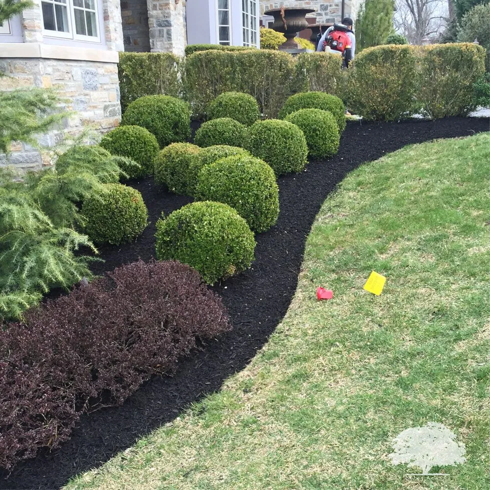 Local yard cleanup service in Norristown, PA by Zuniga Landscaping