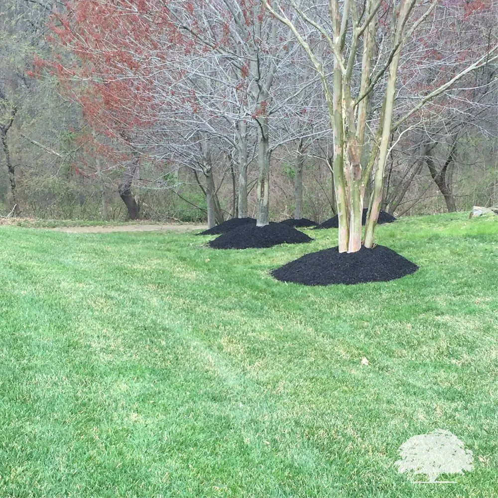 Custom landscape installation for beautiful yards across Norristown, PA - Zuniga Landscaping
