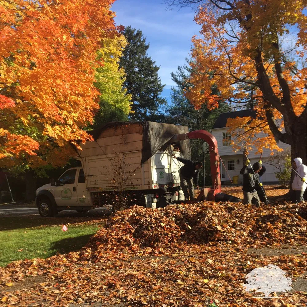 Expert landscape design in Norristown, PA - Zuniga Landscaping