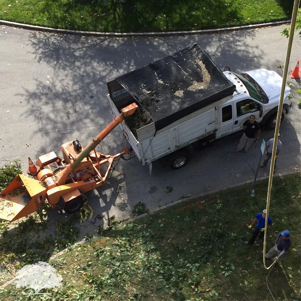 Custom yard cleanup service experts serving Norristown, PA - Zuniga Landscaping