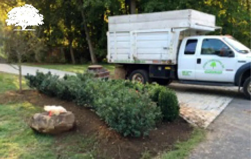 Reliable landscape design in Norristown, PA - Zuniga Landscaping