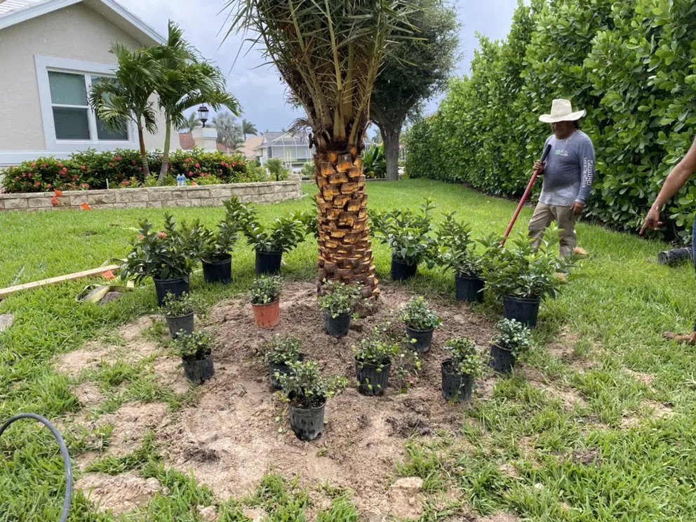 Trusted landscape installation for residential properties in Naples, FL by Zuniga Lawn Mgmt