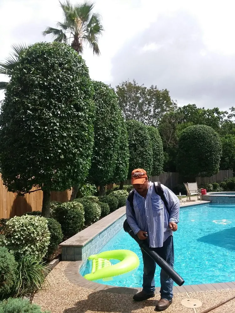 Trusted lawn care service experts serving Pasadena, TX - Zuniga Lawn Service