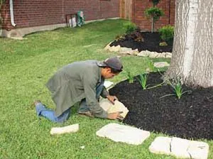 Expert yard cleanup service in Pasadena, TX by Zuniga Lawn Service