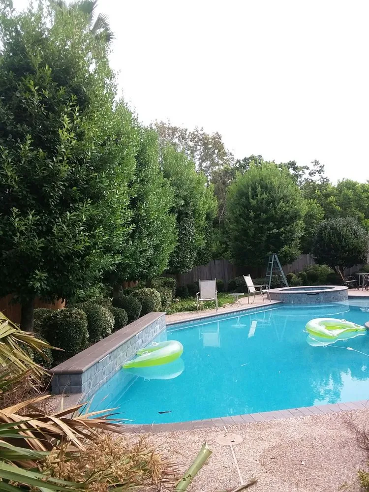 Expert yard maintenance in Pasadena, TX by Zuniga Lawn Service