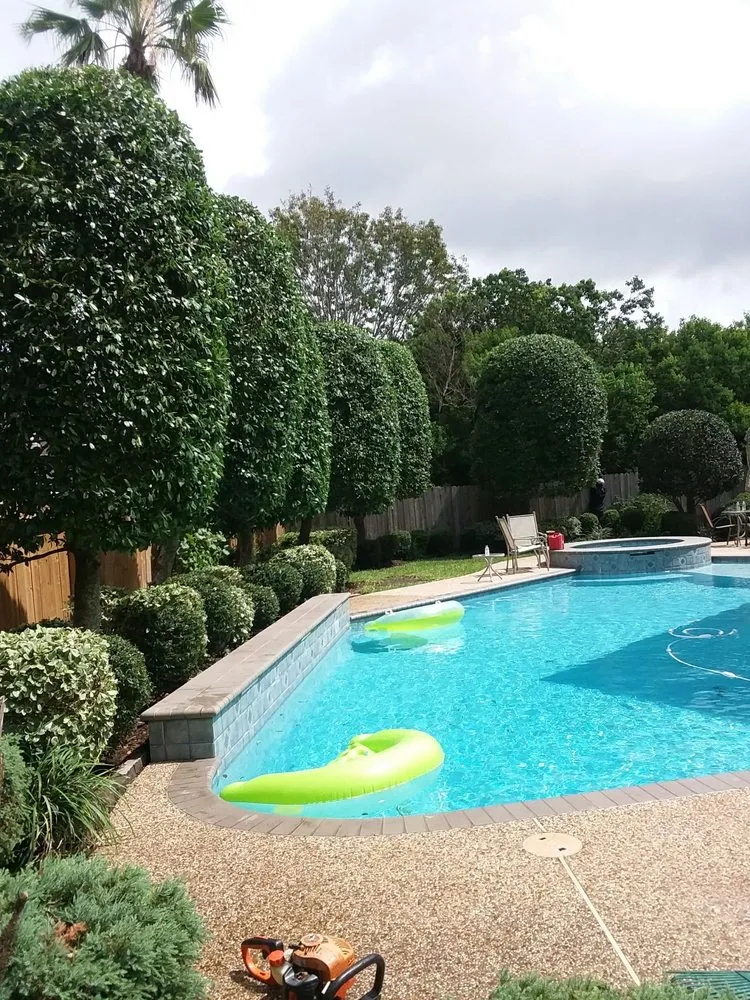 Local yard cleanup service near you across Pasadena, TX - Zuniga Lawn Service