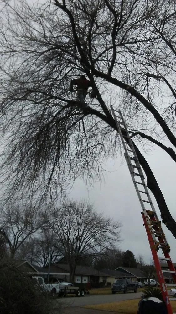 Custom lawn care service near you across Pasadena, TX - Zuniga Lawn Service