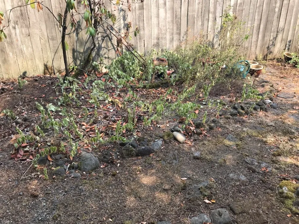 Professional outdoor landscaping for beautiful yards across Washougal, WA - Zuniga Services