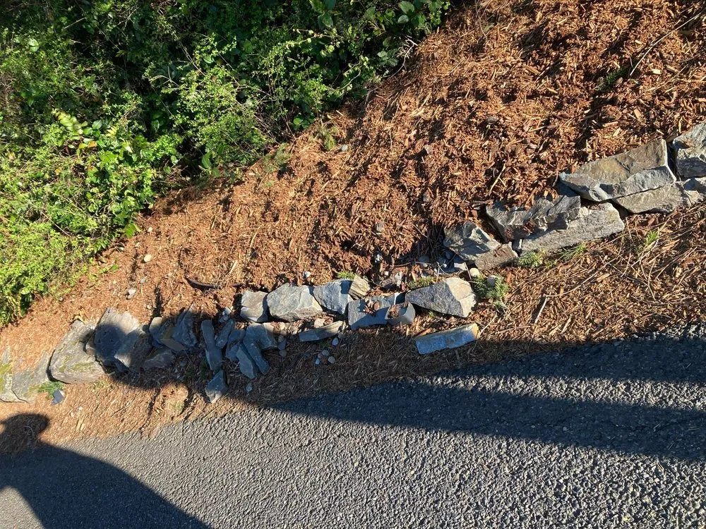 Expert lawn mowing service in Washougal, WA - Zuniga Services