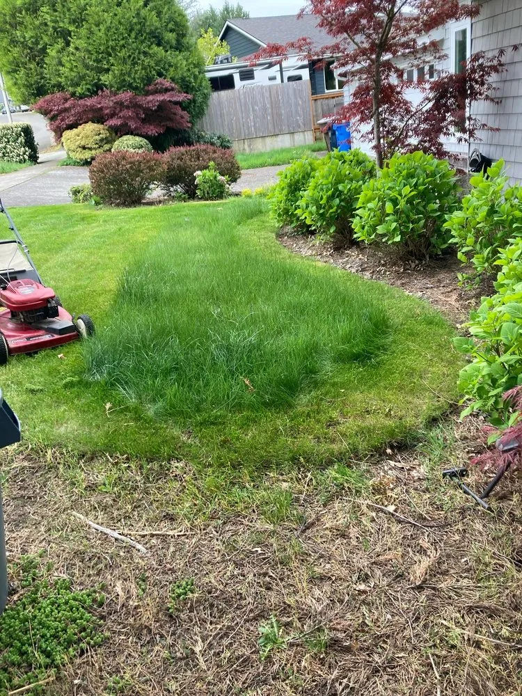 Expert residential landscaping in Washougal, WA by Zuniga Services