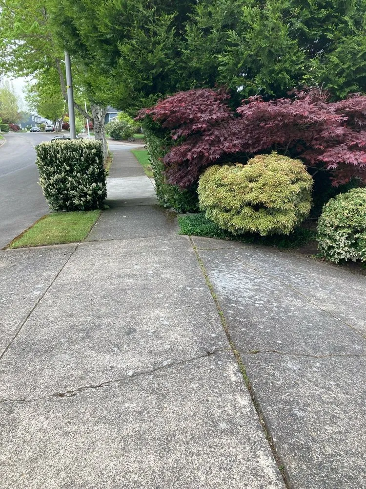 Custom landscaping services in Washougal, WA by Zuniga Services