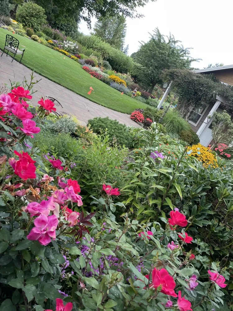 Trusted yard cleanup service in Washougal, WA - Zuniga Services