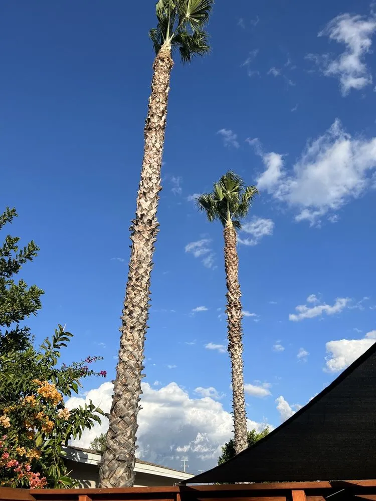 Affordable lawn care service experts serving Los Angeles, CA - Zuniga's Tree Service