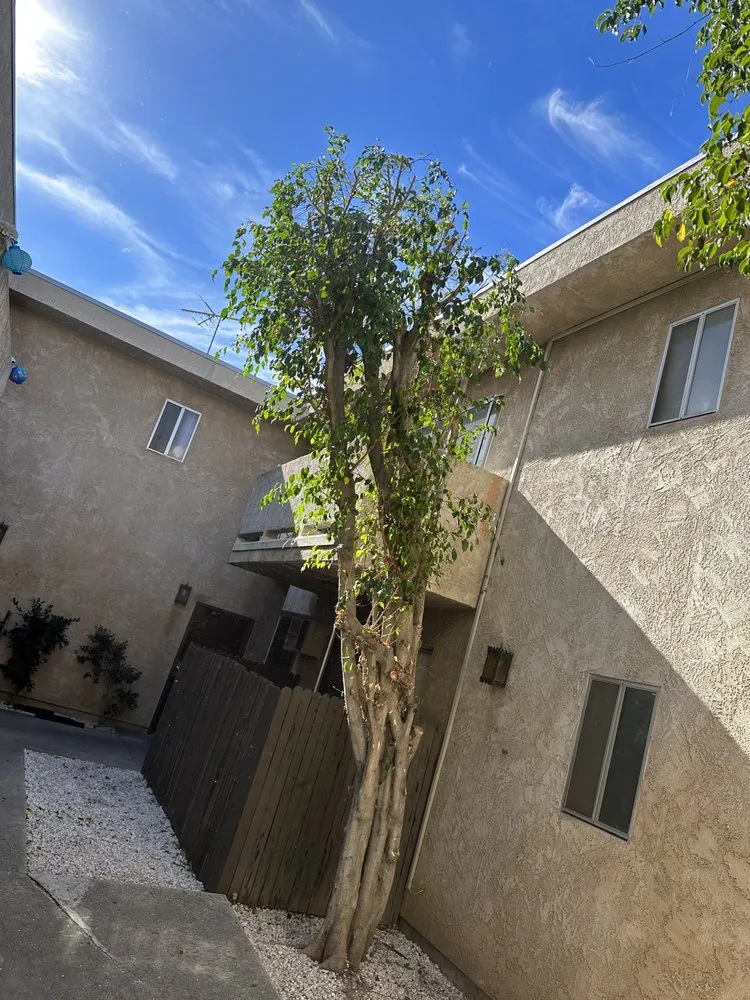 Custom lawn care service experts serving Los Angeles, CA - Zuniga's Tree Service