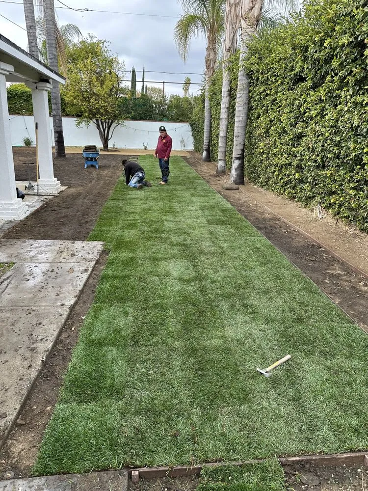 Custom outdoor landscaping in Los Angeles, CA - Zuniga's Tree Service