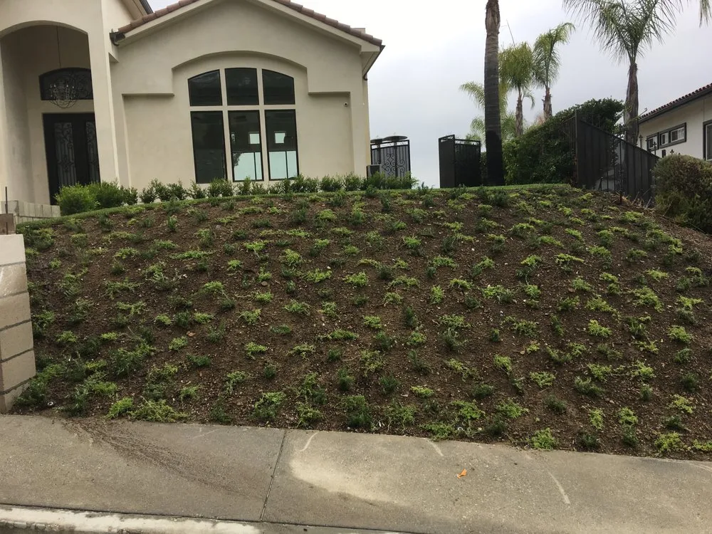 Top-rated garden landscaping for homes in Los Angeles, CA by Zuniga's Tree Service