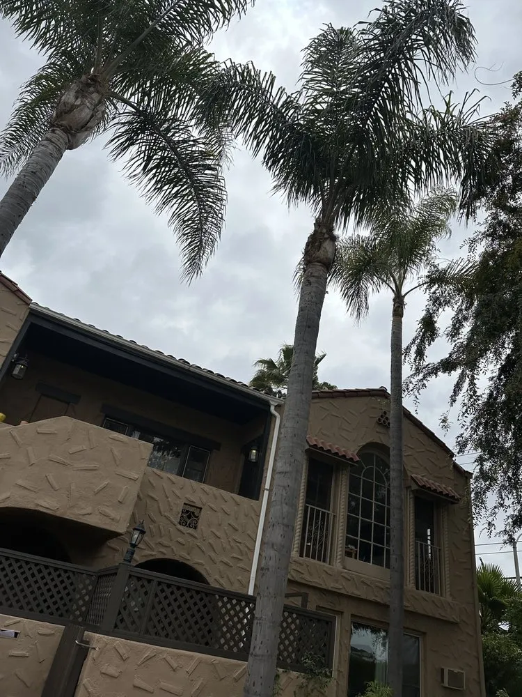 Expert landscape installation in Los Angeles, CA by Zuniga's Tree Service