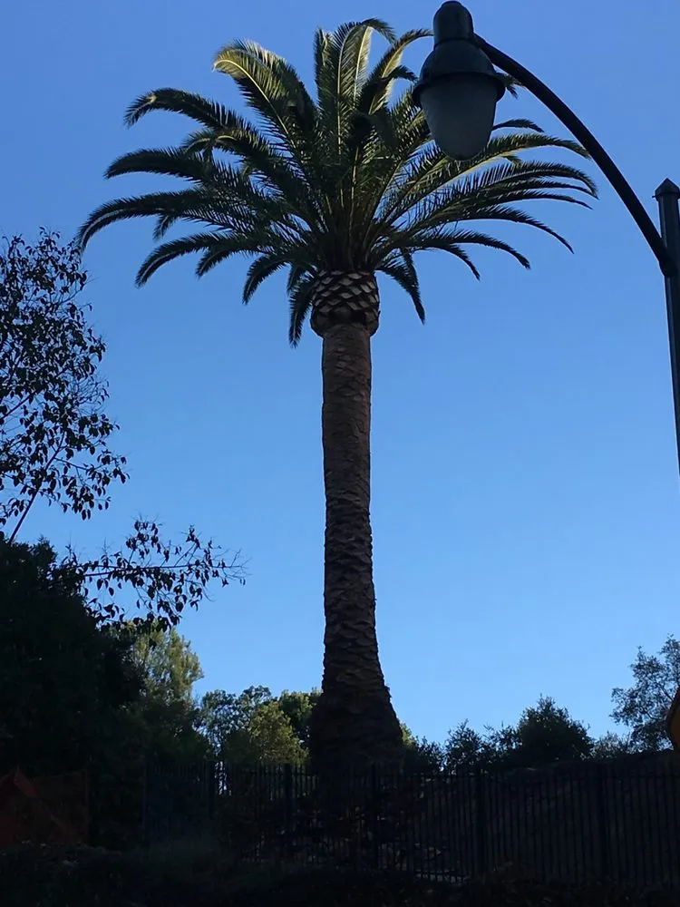 Professional garden landscaping near you across Los Angeles, CA - Zuniga's Tree Service