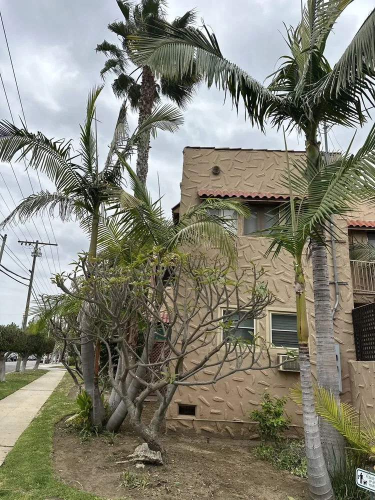 Affordable landscaping services in Los Angeles, CA - Zuniga's Tree Service