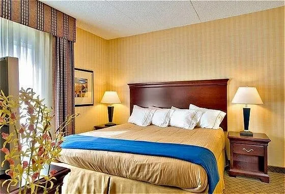 Top-rated landscape design experts serving Los Angeles, CA - Zuniga's Tree Service