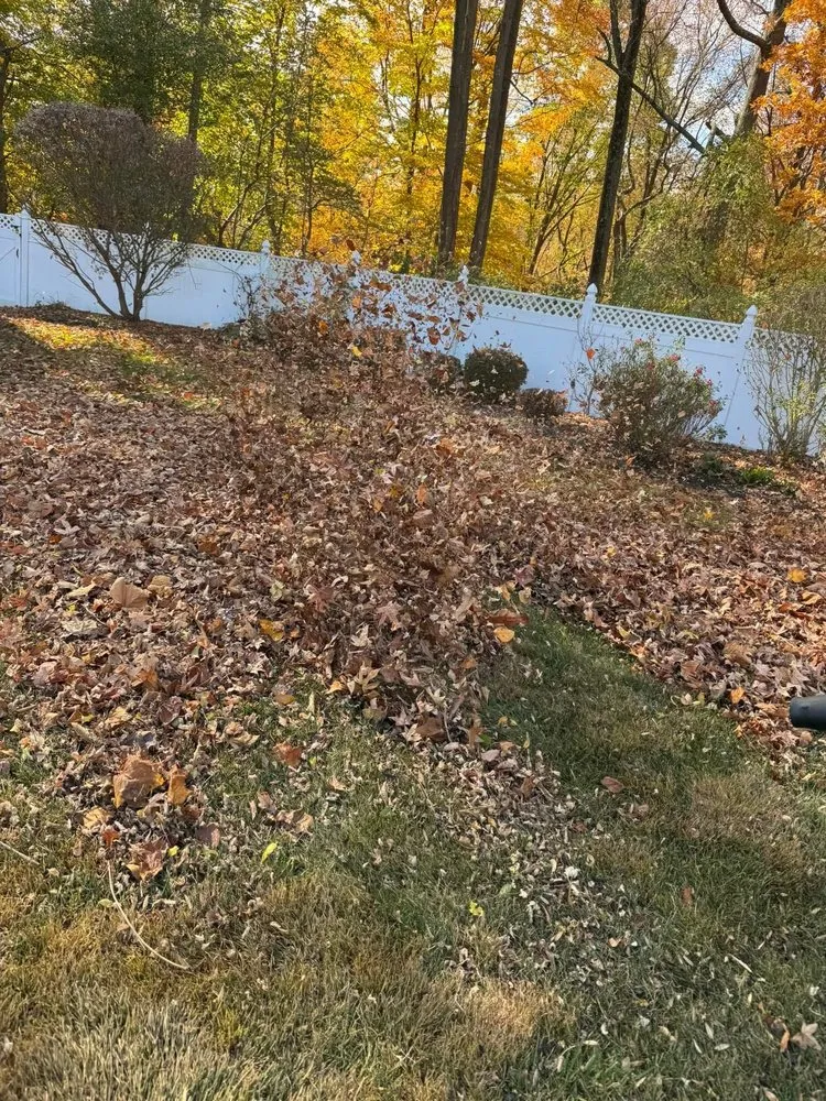 Top-rated garden landscaping in Bridgeton, NJ by Zunun Landscaping