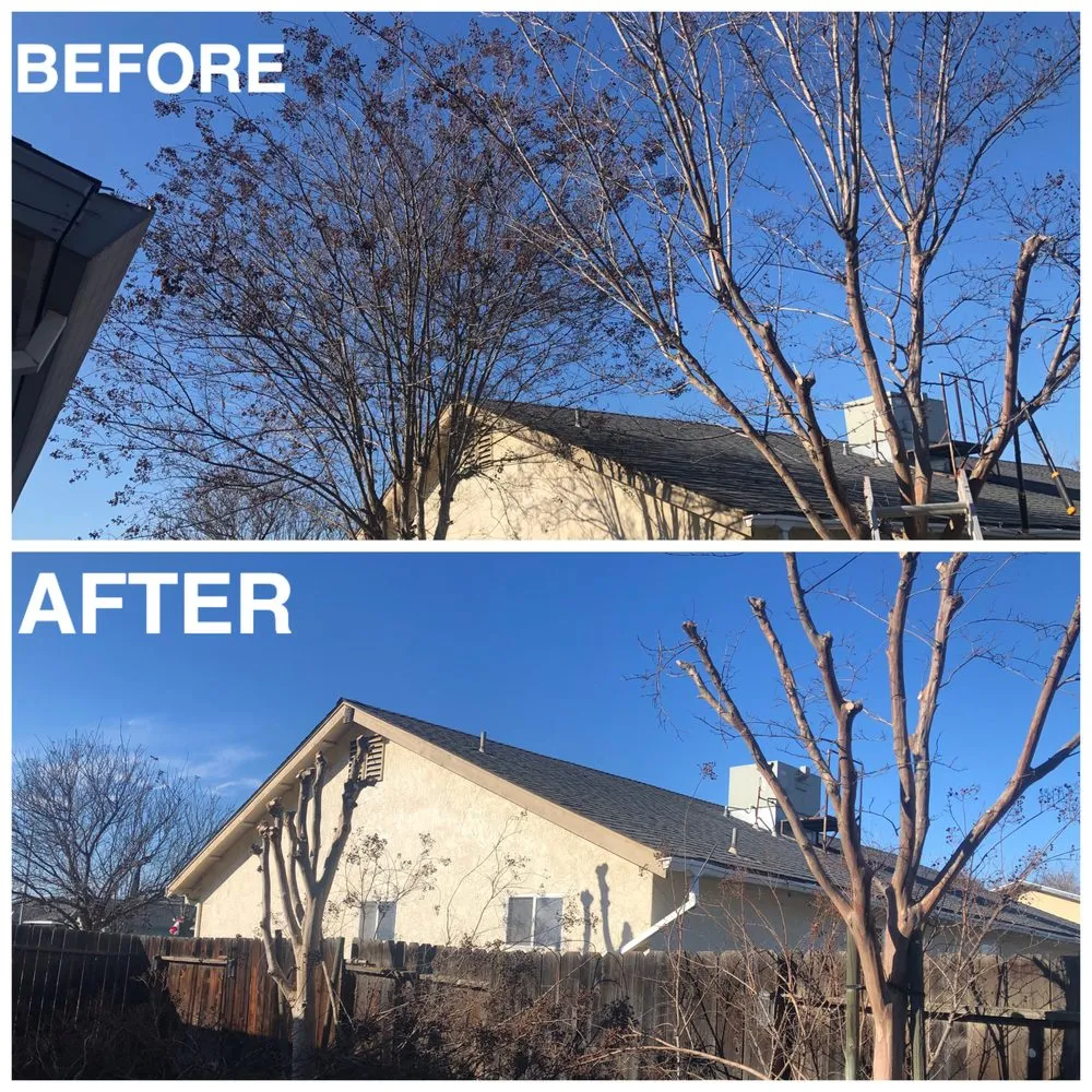 Local landscape design for outdoor upgrades in Los Banos, CA by Zunun Landscaping