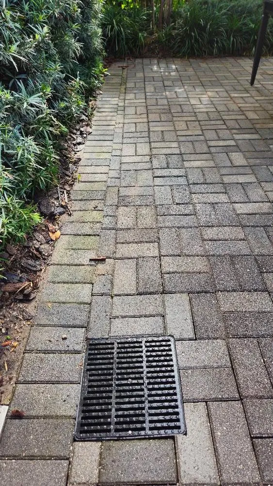 Expert landscaping services in Apollo Beach, FL - Zuzack