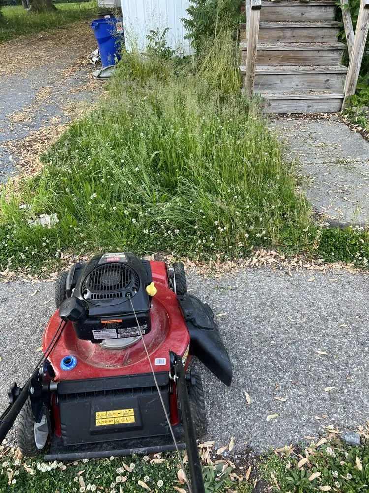 Reliable yard maintenance in Auburn, NY by Zzz’s Property Maintenance